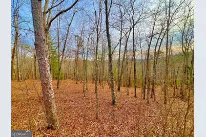 208 Harris Ridge Drive, Ellijay, GA 30540 - Photo 14