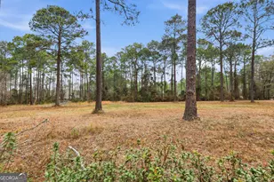 208 Timberline Rd, Statesboro, GA 30461 - Photo 60