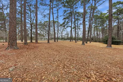 208 Timberline Road, Statesboro, GA 30461 - Photo 52