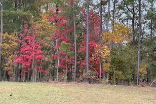 1021 Savannah Wy, Griffin, GA 30223 - Photo 24