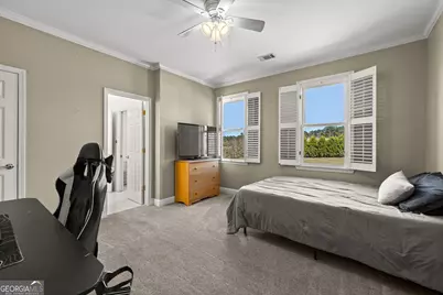 4353 Lower Fayetteville Road, Sharpsburg, GA 30277 - Photo 40