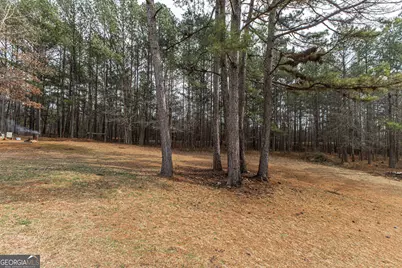 10338 Hogansville Road, Hogansville, GA 30230 - Photo 26