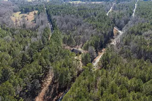 10338 Hogansville Rd, Hogansville, GA 30230 - Photo 32