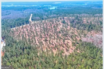 1809 Flat Rock Church Road, White Plains, GA 30678 - Photo 6