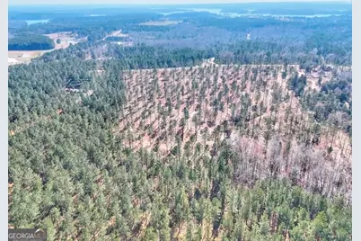 1809 Flat Rock Church Road, White Plains, GA 30678 - Photo 4