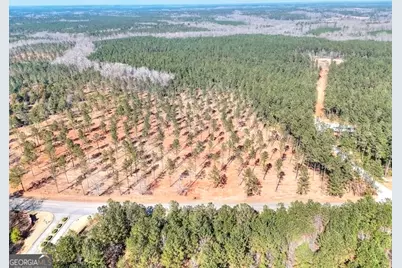 1809 Flat Rock Church Road, White Plains, GA 30678 - Photo 2