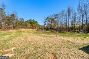 5582 Hwy 100, Hogansville, GA 30230 - Photo 42