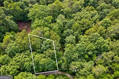 0 Noah Court, Ellijay, GA 30540 - Photo 8