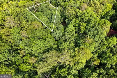 0 Noah Court, Ellijay, GA 30540 - Photo 6