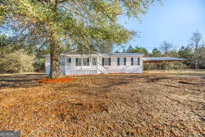 1153 Chester Alamo Road, Chester, GA 31012 - Photo 32