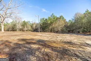 1153 Chester Alamo Rd, Chester, GA 31012 - Photo 16