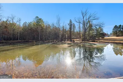 4101 W Ellis Road, Griffin, GA 30223 - Photo 8