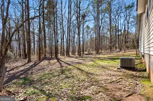 360 Old Hwy 16, Sharpsburg, GA 30277 - Photo 26