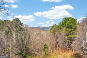 271 Zane Dr, Ellijay, GA 30540 - Photo 34