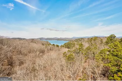 271 Zane Drive, Ellijay, GA 30540 - Photo 4