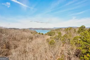 271 Zane Dr, Ellijay, GA 30540 - Photo 4