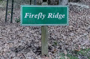 290 Ruby Ln, Ellijay, GA 30536 - Photo 52
