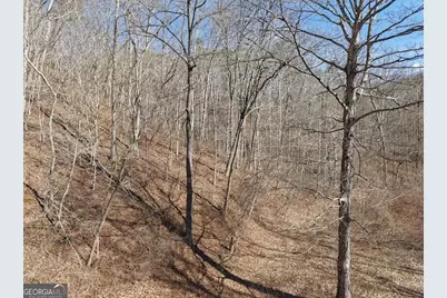 003 Rambling Road, Fairmount, GA 30139 - Photo 4