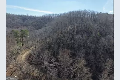 003 Rambling Road, Fairmount, GA 30139 - Photo 14