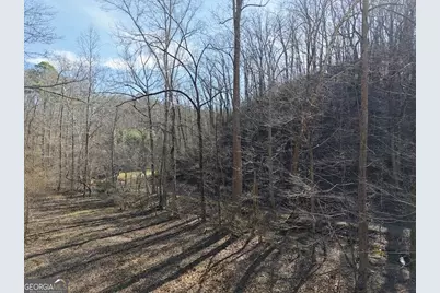 003 Rambling Road, Fairmount, GA 30139 - Photo 12