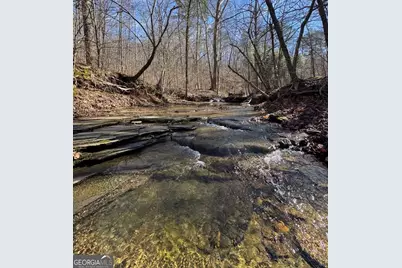 003 Rambling Road, Fairmount, GA 30139 - Photo 1