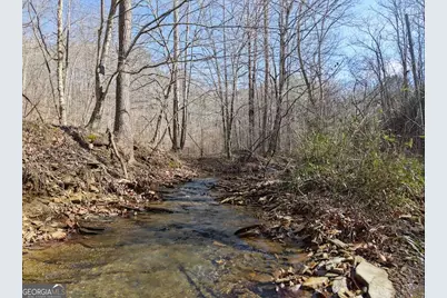 003 Rambling Road, Fairmount, GA 30139 - Photo 2