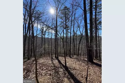 003 Rambling Road, Fairmount, GA 30139 - Photo 8