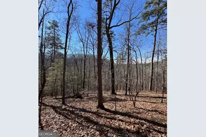 003 Rambling Road, Fairmount, GA 30139 - Photo 16