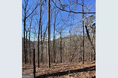 003 Rambling Road, Fairmount, GA 30139 - Photo 10