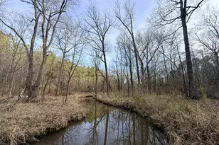 2973 River Rd, Elberton, GA 30635 - Photo 146