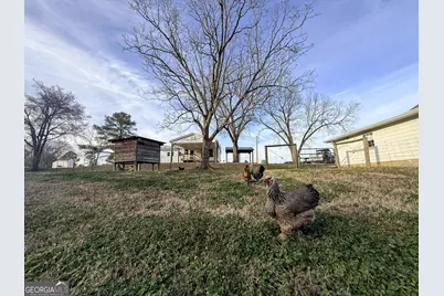 2973 River Road, Elberton, GA 30635 - Photo 130