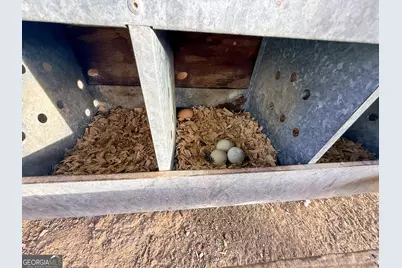 2973 River Road, Elberton, GA 30635 - Photo 142