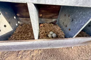 2973 River Rd, Elberton, GA 30635 - Photo 142