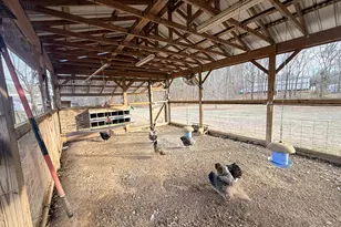 2973 River Rd, Elberton, GA 30635 - Photo 126