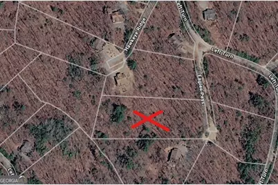 0 Eagle Pass #LOT 8, Blue Ridge, GA 30513 - Photo 1