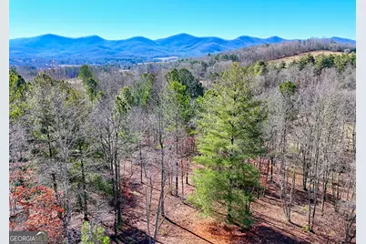 436 Tree Line Drive, Blairsville, GA 30512 - Photo 60