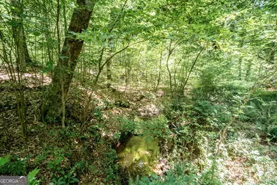 0 Wagers Mill Road #20+/- ACRES, Newnan, GA 30263 - Photo 2