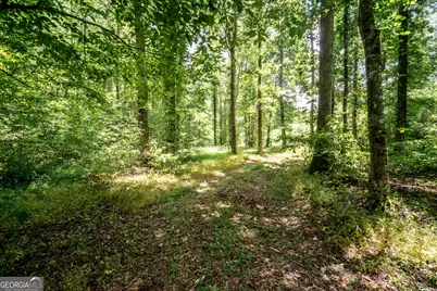 0 Wagers Mill Road #20+/- ACRES, Newnan, GA 30263 - Photo 1
