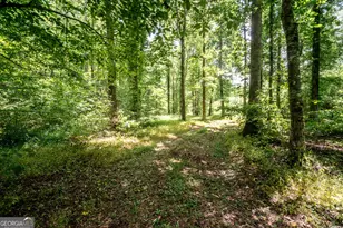 0 Wagers Mill Rd, Newnan, GA 30263 - Photo 1