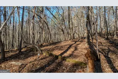 0 Wagers Mill Road #20+/- ACRES, Newnan, GA 30263 - Photo 8