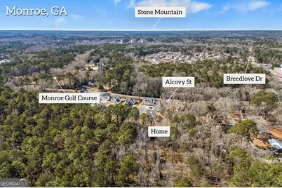 529 Mill Farm Lane, Monroe, GA 30655 - Photo 10