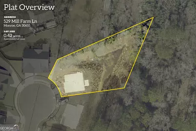 529 Mill Farm Lane, Monroe, GA 30655 - Photo 2