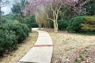 550 S Hill St, Griffin, GA 30224 - Photo 76