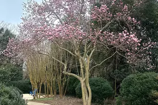 550 S Hill St, Griffin, GA 30224 - Photo 68