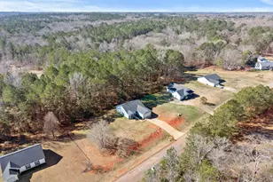 83 Sydney Woods Dr, Forsyth, GA 31029 - Photo 28