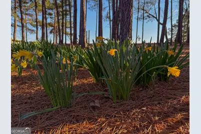 721 Thrasher Road, White Plains, GA 31780 - Photo 24