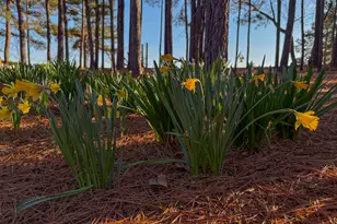 721 Thrasher Rd, White Plains, GA 31780 - Photo 24