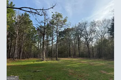 004 Hwy 45, White Plains, GA 31870 - Photo 6