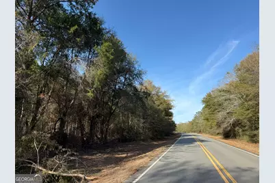 004 Hwy 45, White Plains, GA 31870 - Photo 2