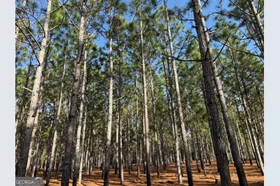 004 Hwy 45, White Plains, GA 31870 - Photo 4